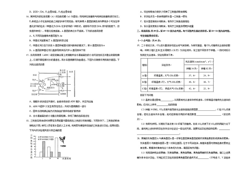 高中生物 （新高考）2021届高三第三次模拟考试卷 生物（四） 学生版第3页