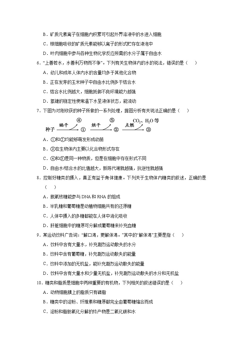高中生物 （新高考）2021届小题必练1 细胞的分子组成 学生版03