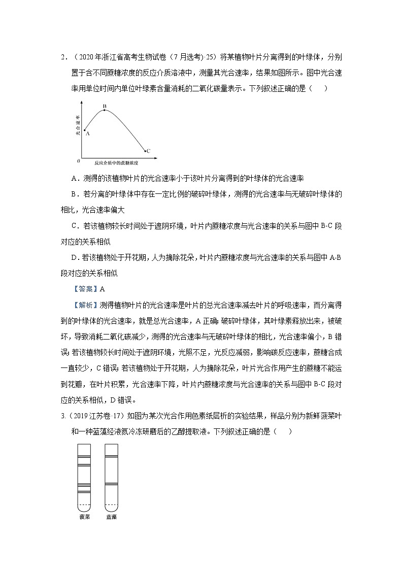 高中生物 （新高考）2021届小题必练6 光合作用、光合作用与细胞呼吸的关系 教师版第2页