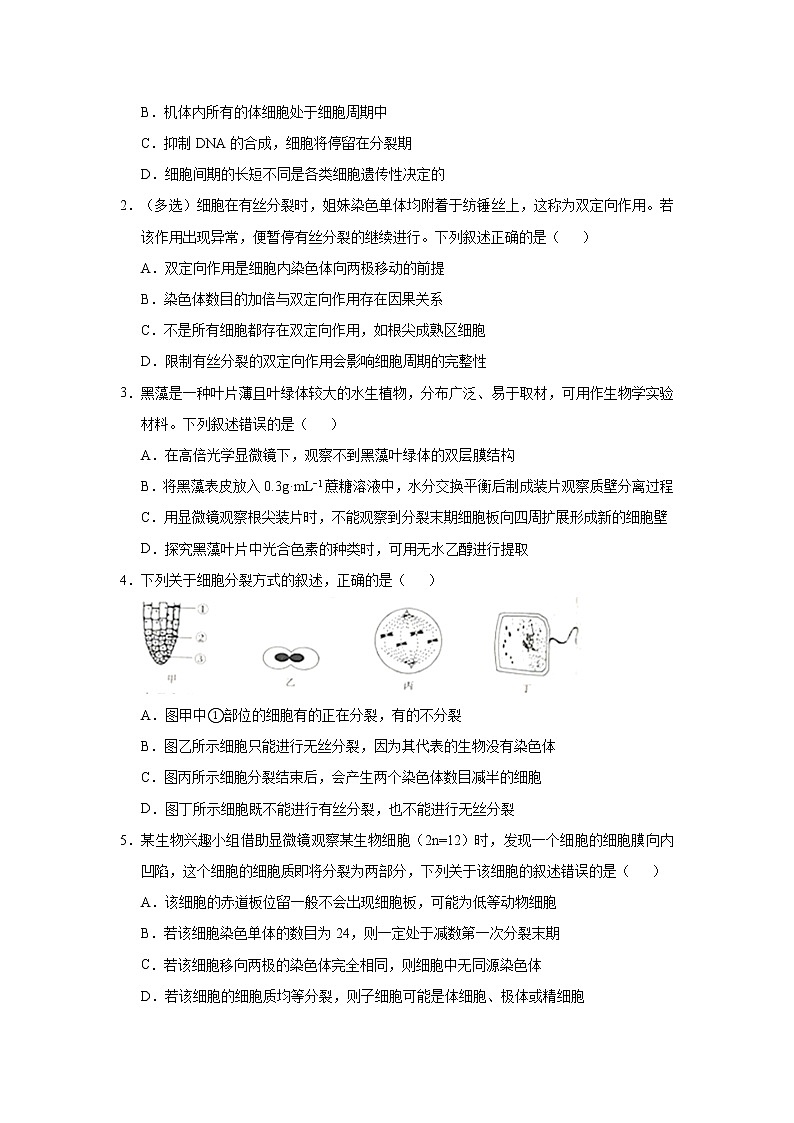 高中生物 （新高考）2021届小题必练7 细胞的生命历程 学生版第2页