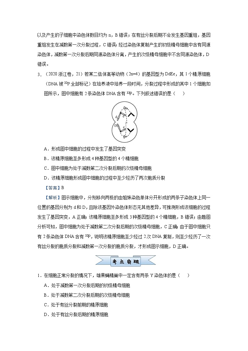 高中生物 （新高考）2021届小题必练8 遗传的细胞学基础 教师版第2页