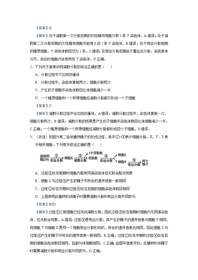 高中生物 （新高考）2021届小题必练8 遗传的细胞学基础 教师版第3页