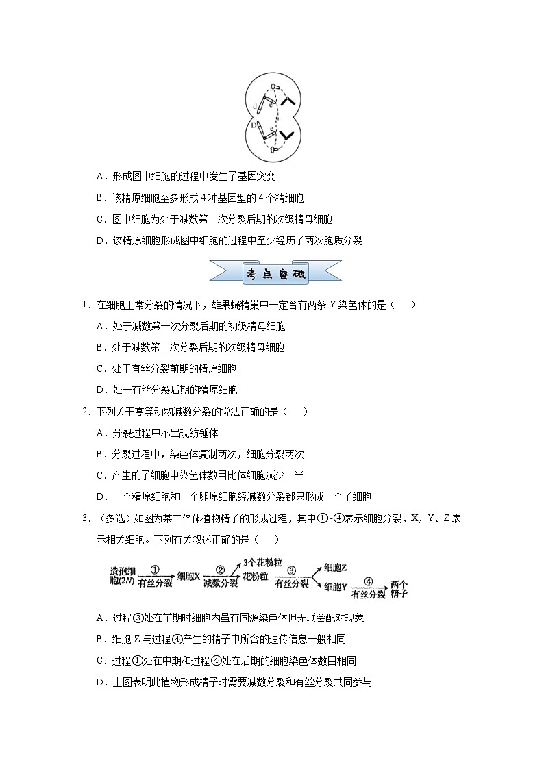 高中生物 （新高考）2021届小题必练8 遗传的细胞学基础 学生版第2页