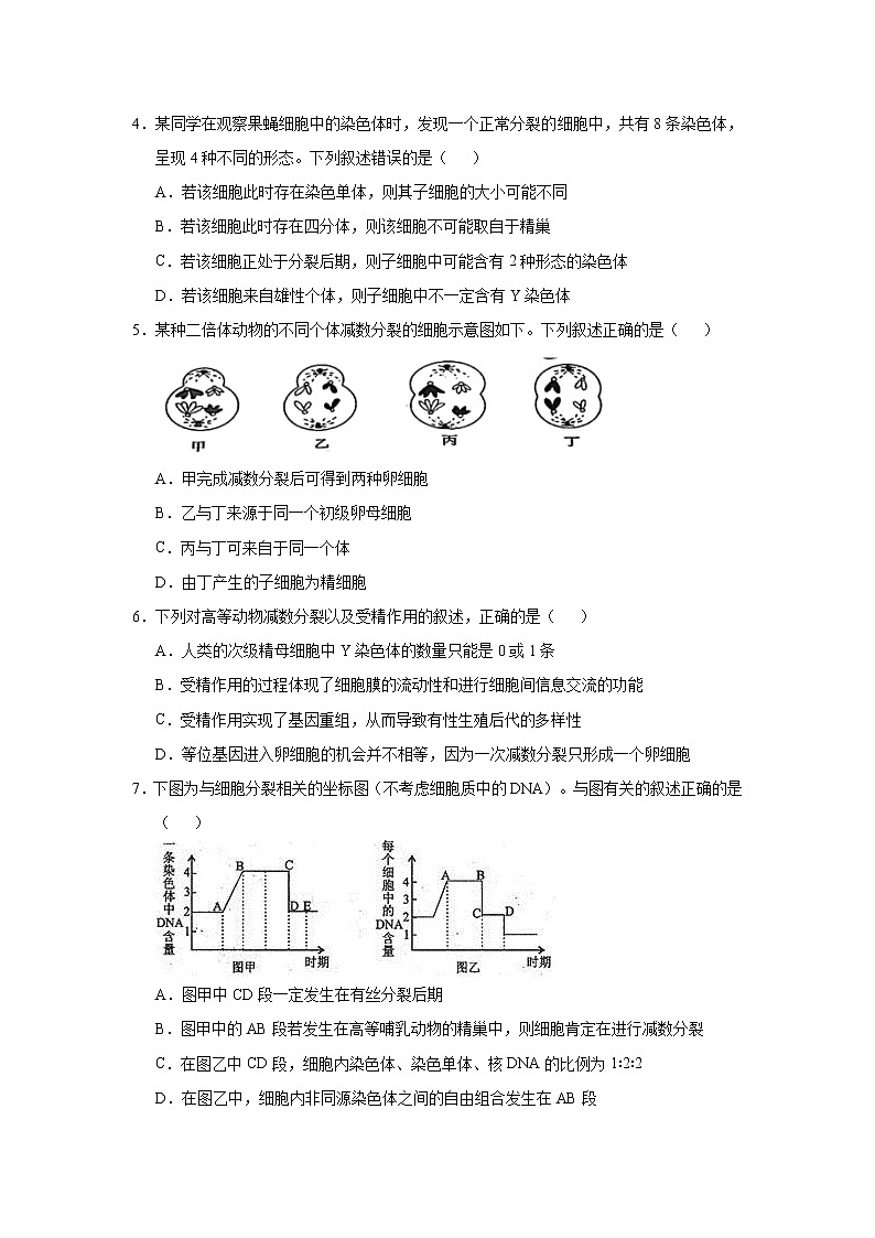 高中生物 （新高考）2021届小题必练8 遗传的细胞学基础 学生版第3页