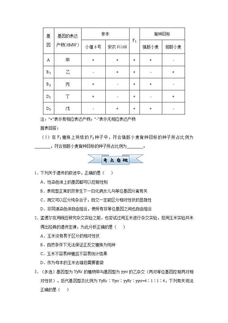 高中生物 （新高考）2021届小题必练10 基因的自由组合定律 学生版第2页