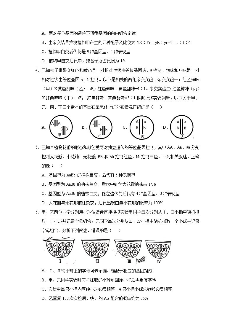 高中生物 （新高考）2021届小题必练10 基因的自由组合定律 学生版第3页