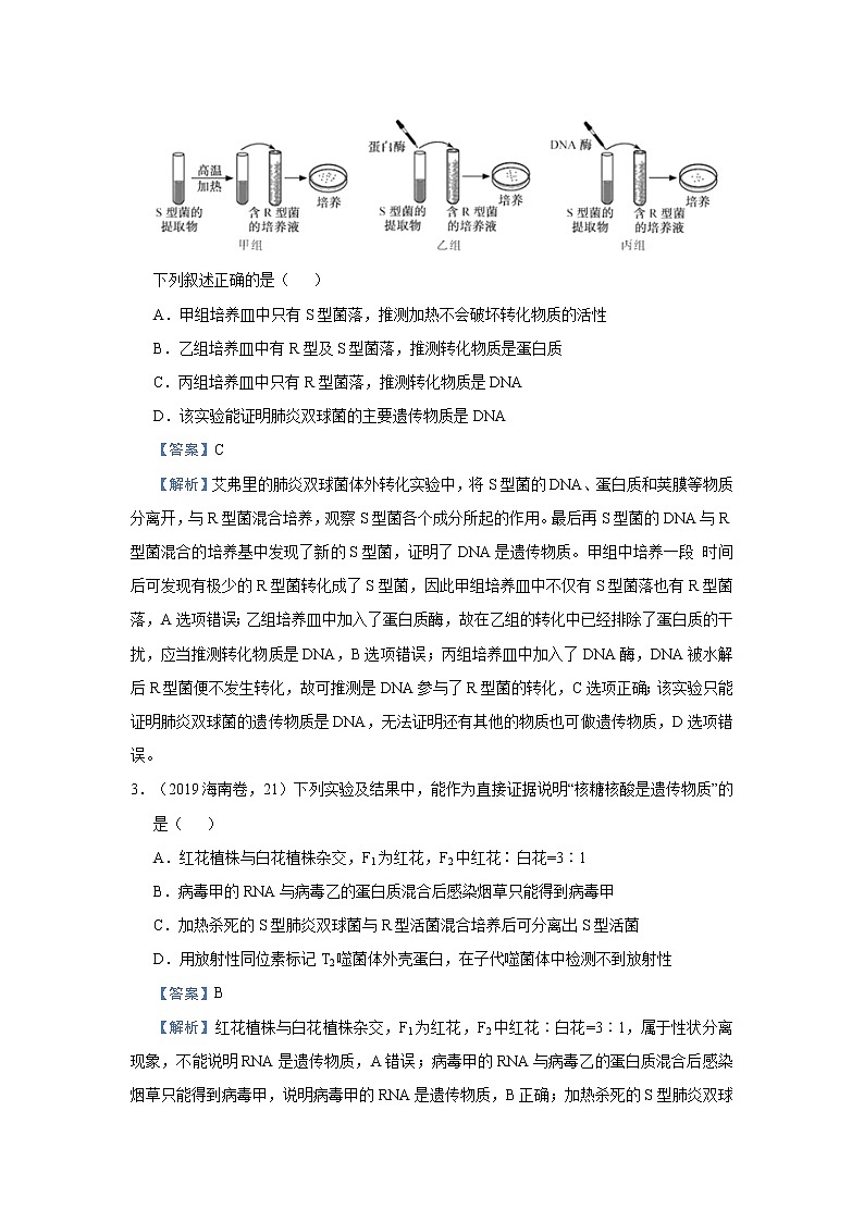 高中生物 （新高考）2021届小题必练12 遗传物质的探索  DNA的结构和复制 教师版第2页