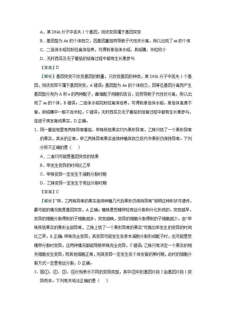 高中生物 （新高考）2021届小题必练14 生物的变异及育种  生物的进化 教师版第3页