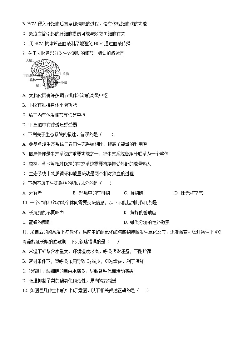 新疆维吾尔自治区喀什第六中学2022-2023学年高三上学期9月实用性月考（一）生物试题无答案第2页