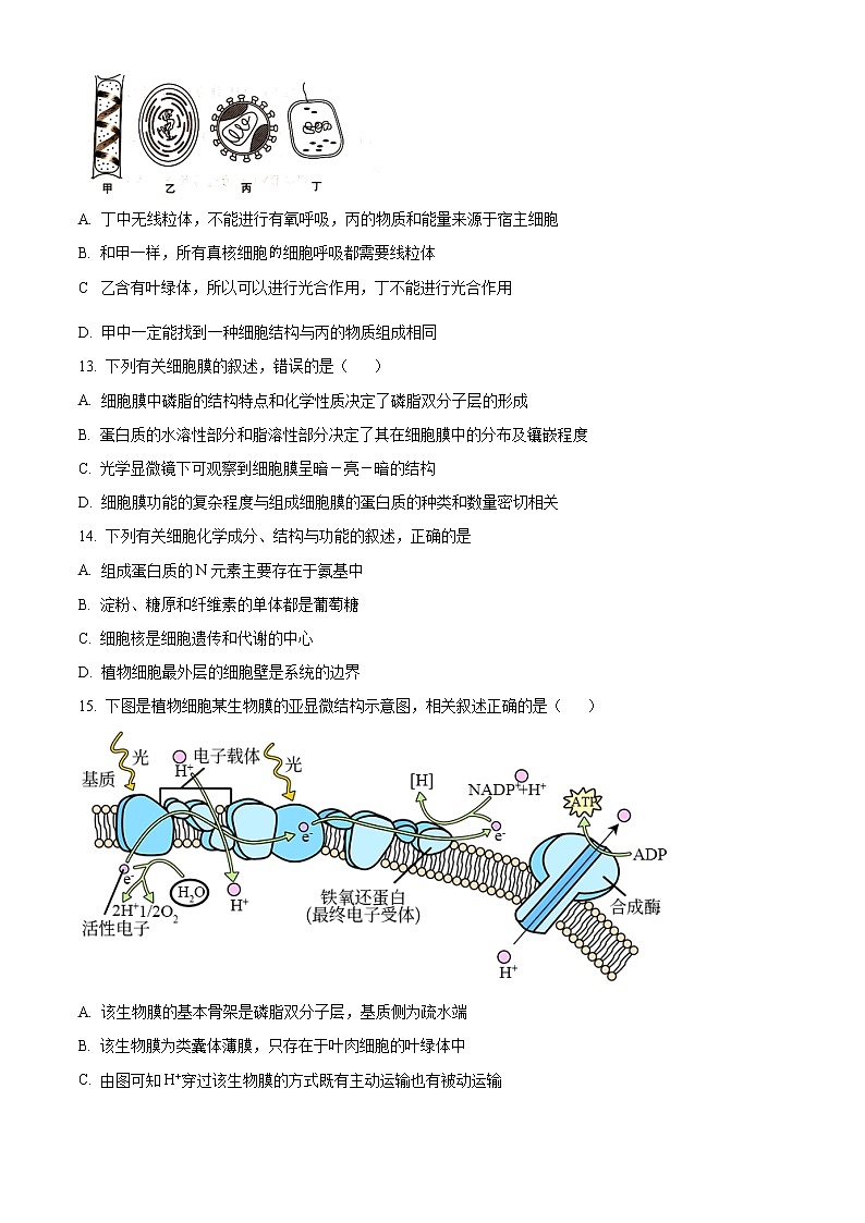 新疆维吾尔自治区喀什第六中学2022-2023学年高三上学期9月实用性月考（一）生物试题无答案第3页