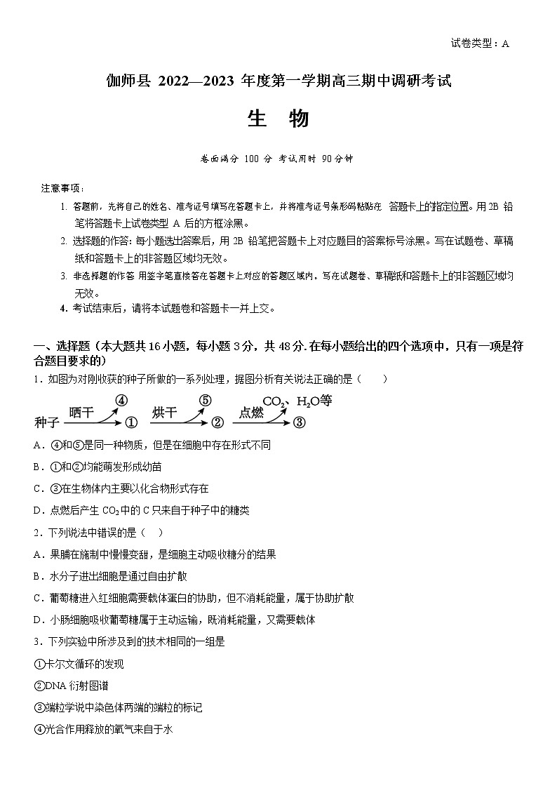 2023维吾尔自治区喀什地区英吉沙县高三上学期11月期中考试生物试题含答案第1页
