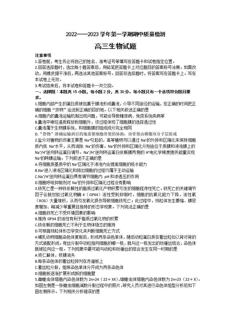 2023济宁高三上学期期中考试生物试题含答案01