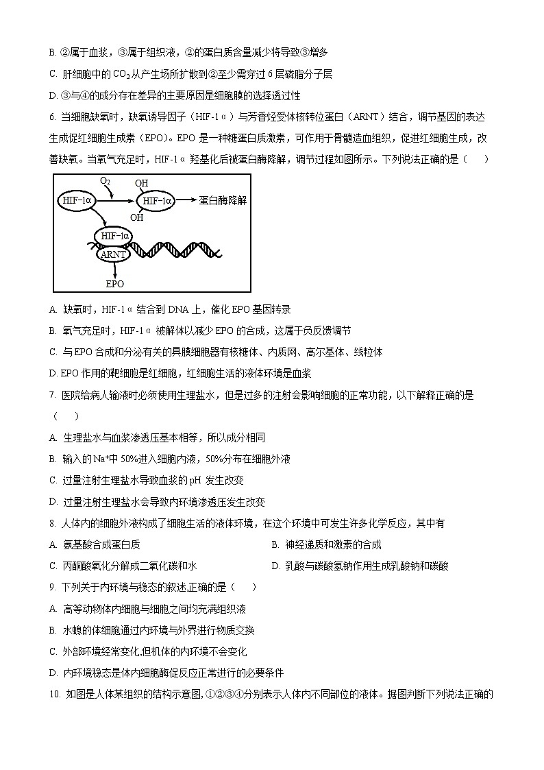 新疆维吾尔自治区石河子第一中学2022-2023学年高二上学期第一次月考（10月）生物试题无答案第3页