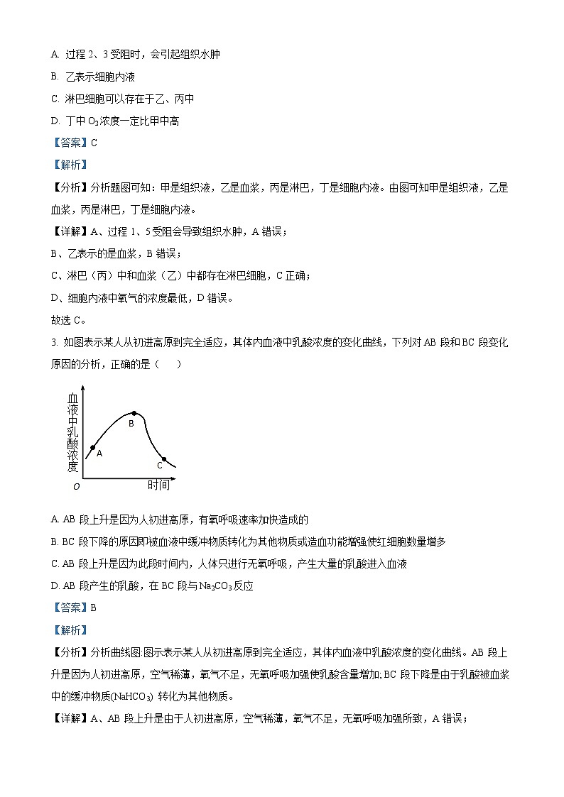 新疆维吾尔自治区石河子第一中学2022-2023学年高二上学期第一次月考（10月）生物试题含解析第2页