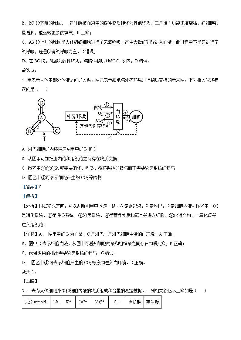 新疆维吾尔自治区石河子第一中学2022-2023学年高二上学期第一次月考（10月）生物试题含解析第3页