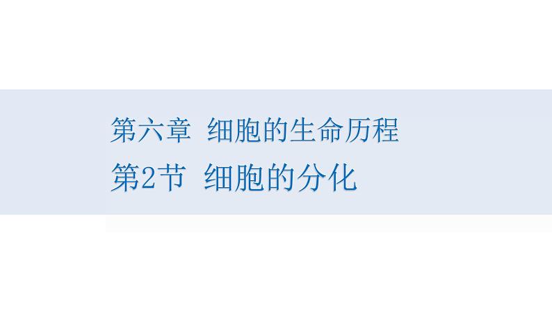 人教版高一生物必修一课件6.2细胞分化课件01