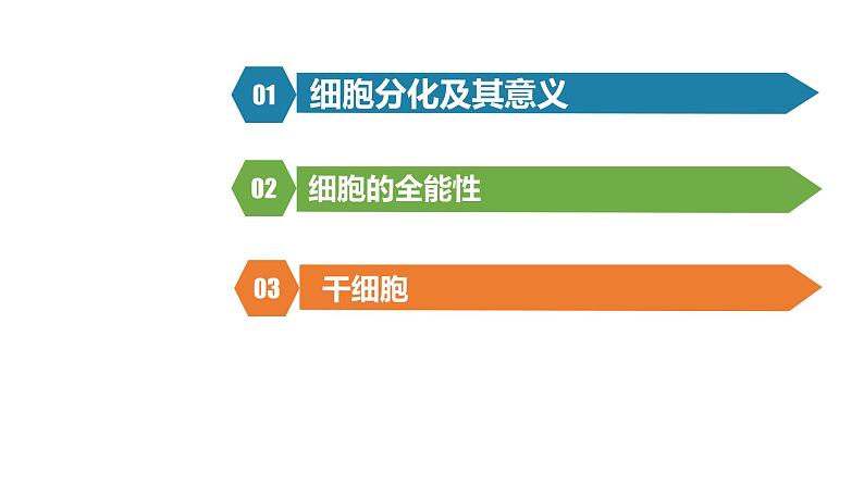 人教版高一生物必修一课件6.2细胞分化课件02