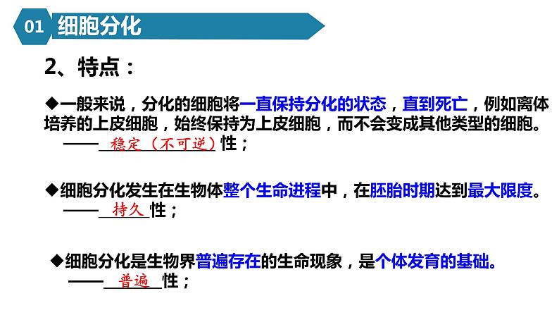 人教版高一生物必修一课件6.2细胞分化课件08