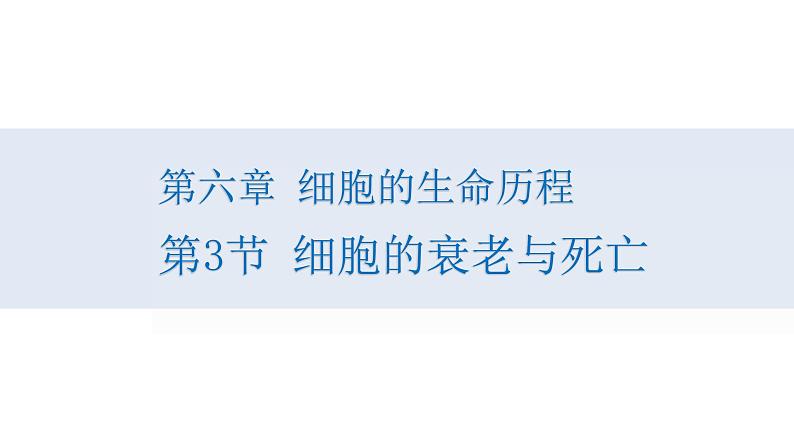 人教版高一生物必修一课件6.3细胞的衰老与死亡课件第1页