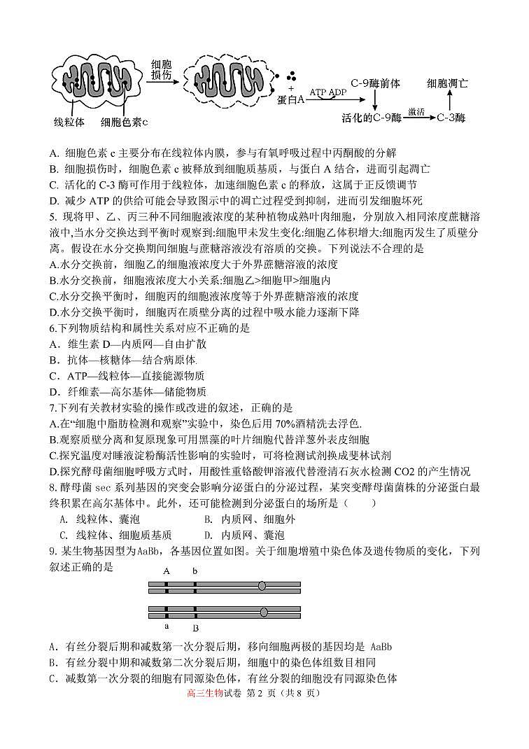 2022-2023学年第一学期期中考试高三生物试卷第2页