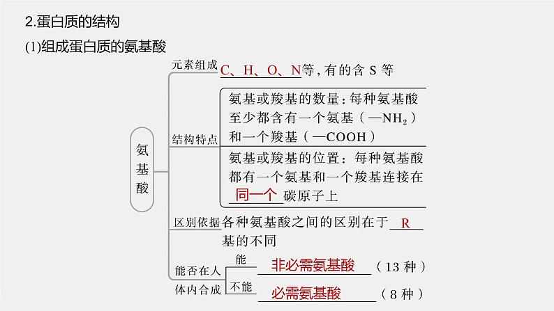 高中生物2023年高考生物一轮复习（新人教新高考） 第1单元 第3课时　蛋白质是生命活动的主要承担者课件PPT第4页