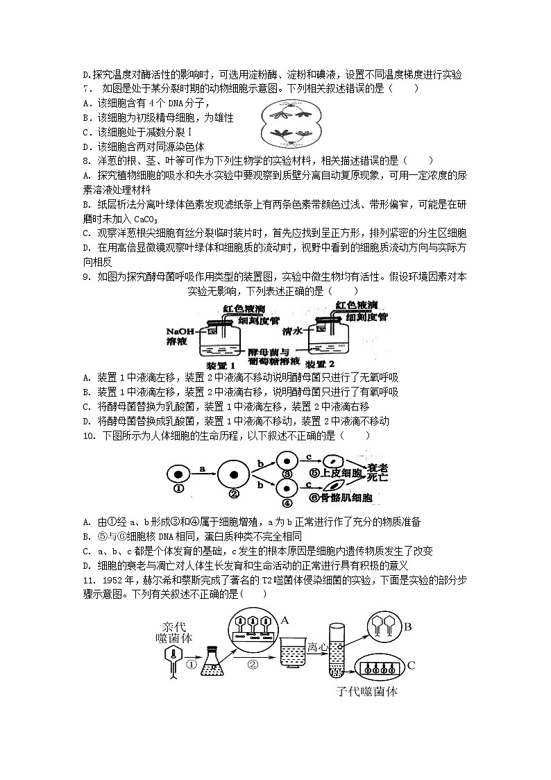 生物试题第2页