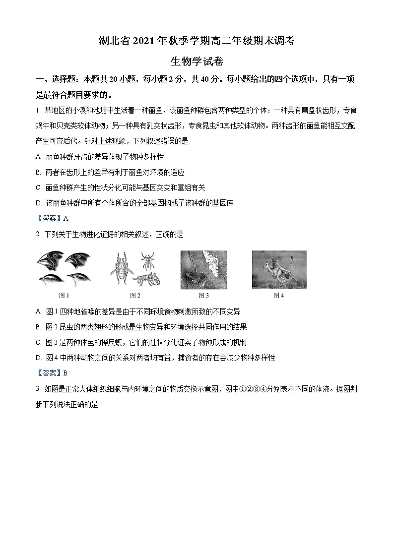 湖北省2021-2022学年高二上学期期末联合调研测试生物试题第1页