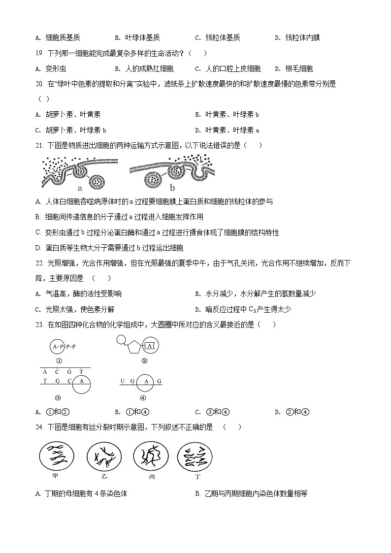 重庆市沙坪坝实验中学校2021-2022学年高一上学期期末生物试题无答案第3页