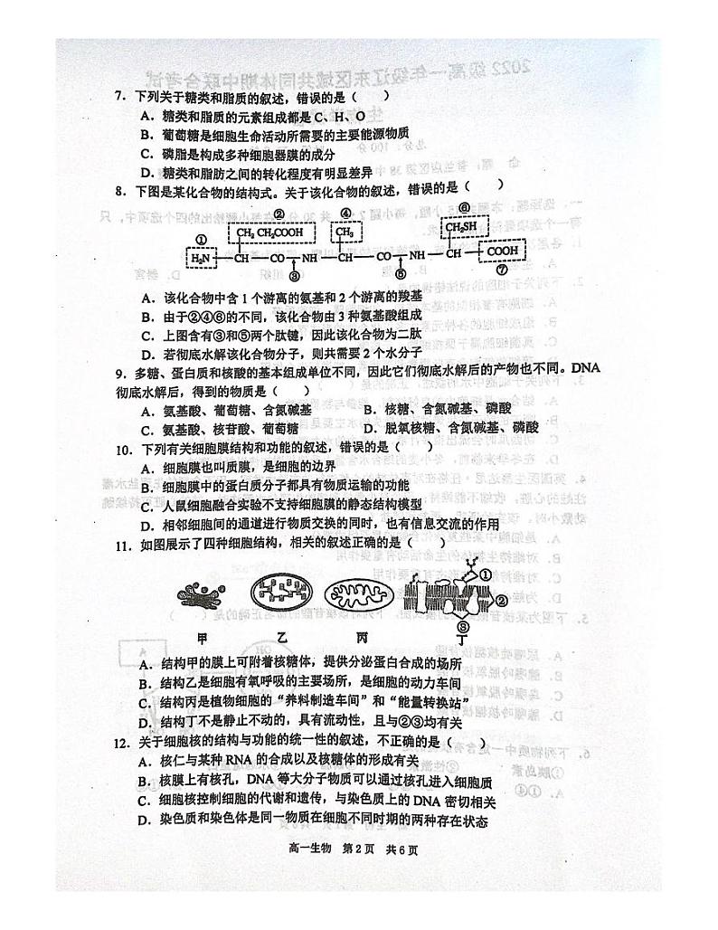 辽宁省辽东区域共同体2022-2023学年高一上学期期中联考生物试题第2页