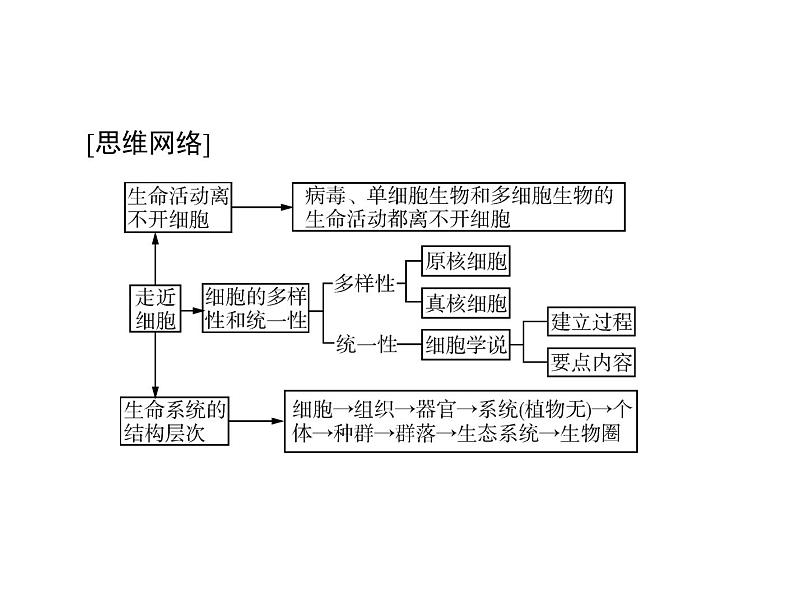 2022年《南方新课堂 高考总复习》生物 必修1 第1章 第1、2节 从生物圈到细胞、细胞的多样性和统一性课件第3页