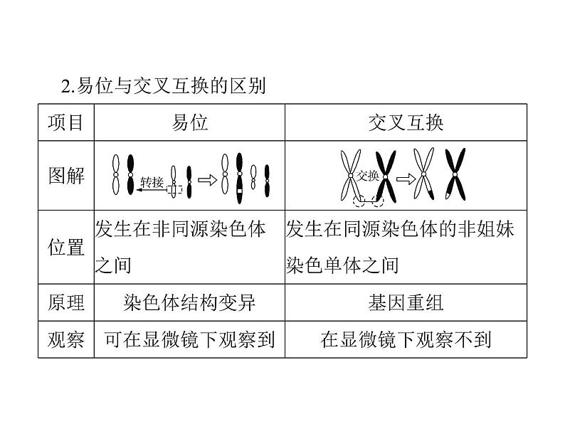 2022年《南方新课堂 高考总复习》生物 必修2 小专题六 生物变异的图形突破课件03