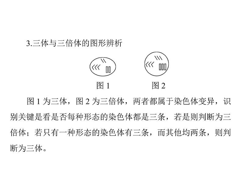 2022年《南方新课堂 高考总复习》生物 必修2 小专题六 生物变异的图形突破课件04