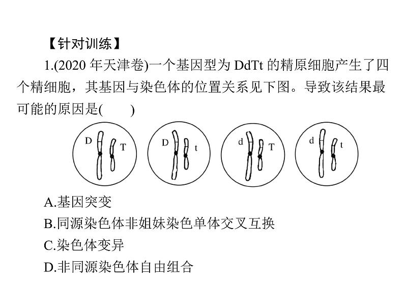 2022年《南方新课堂 高考总复习》生物 必修2 小专题六 生物变异的图形突破课件05