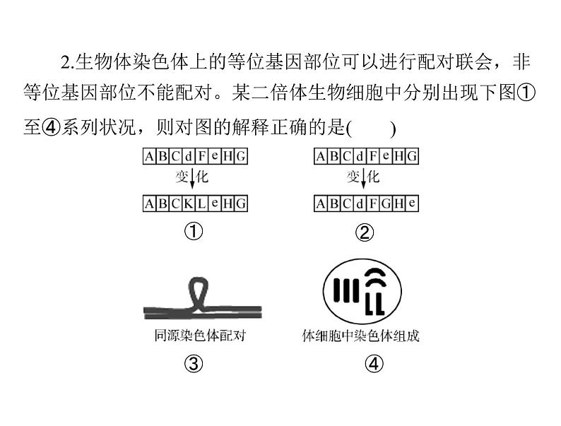 2022年《南方新课堂 高考总复习》生物 必修2 小专题六 生物变异的图形突破课件07