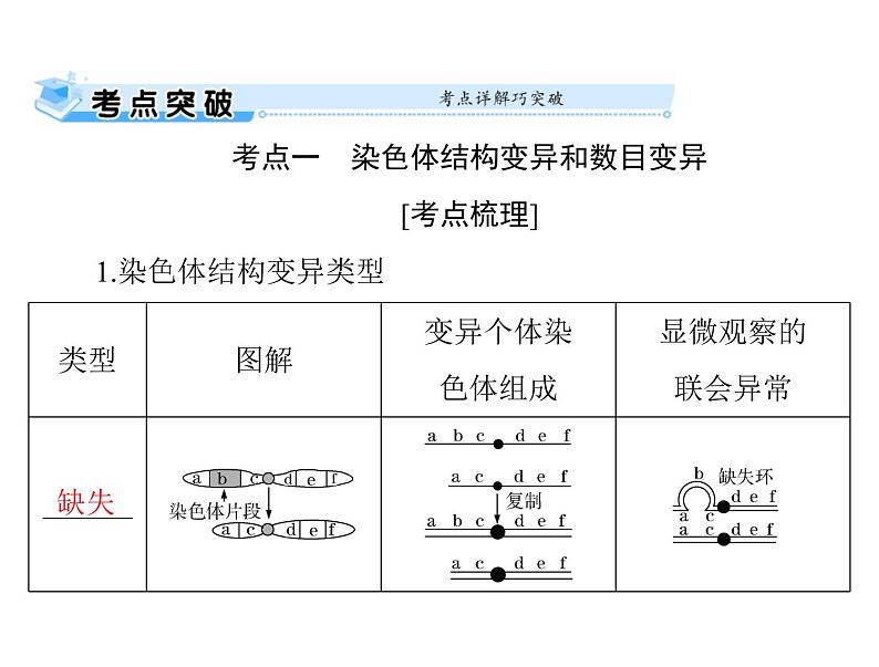 2022年《南方新课堂 高考总复习》生物 必修2 第5章 第2节 染色体变异课件第2页