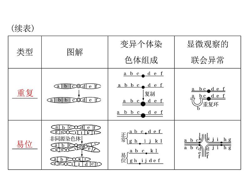 2022年《南方新课堂 高考总复习》生物 必修2 第5章 第2节 染色体变异课件第3页