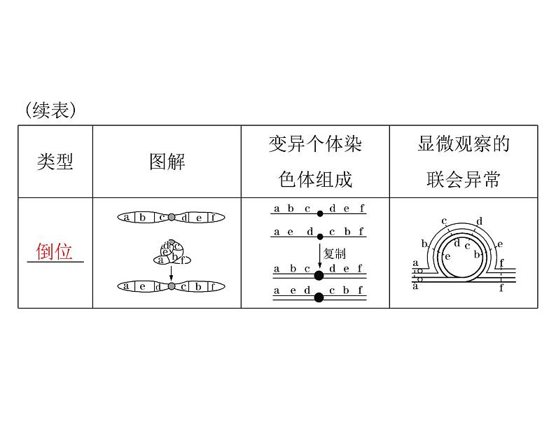 2022年《南方新课堂 高考总复习》生物 必修2 第5章 第2节 染色体变异课件第4页