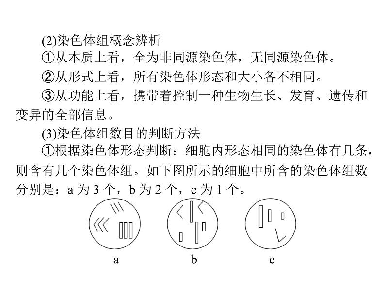 2022年《南方新课堂 高考总复习》生物 必修2 第5章 第2节 染色体变异课件第7页