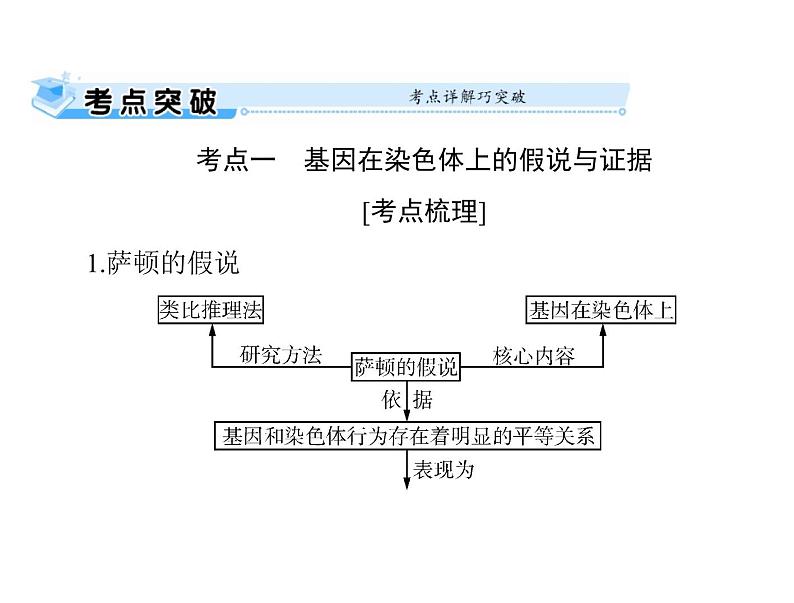 2022年《南方新课堂 高考总复习》生物 必修2 第2章 第2、3节 基因在染色体上、伴性遗传课件第2页