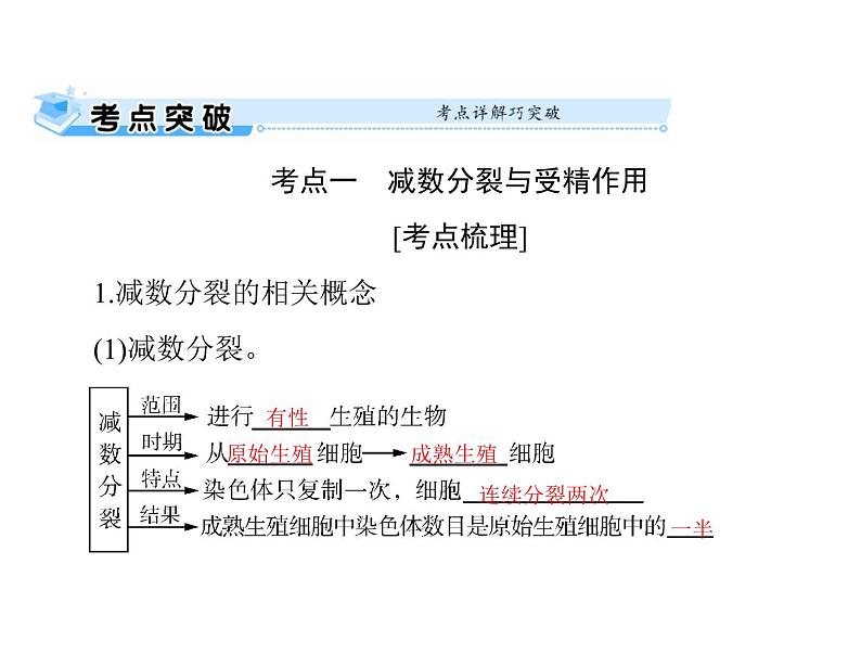 2022年《南方新课堂 高考总复习》生物 必修2 第2章 第1节 减数分裂和受精作用课件05