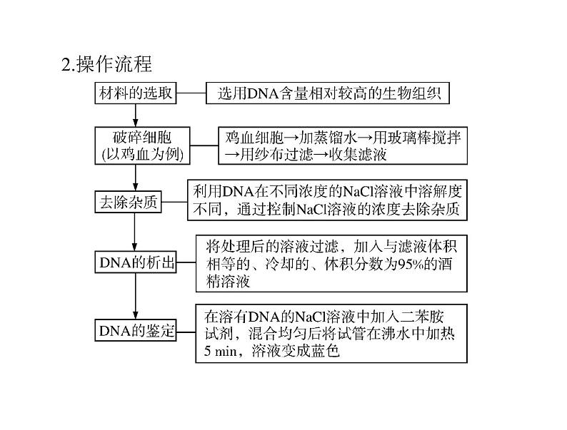 2022年《南方新课堂 高考总复习》生物 选修1 专题4、5 DNA和蛋白质技术、植物有效成分的提取课件第4页