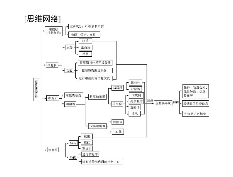 2022年《南方新课堂 高考总复习》生物 必修1 第3章 第1、3节 细胞膜——系统的边界、细胞核——系统的控制中心课件第3页