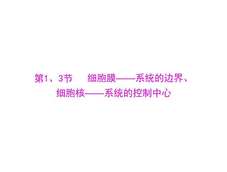 2022年《南方新课堂 高考总复习》生物 必修1 第3章 第1、3节 细胞膜——系统的边界、细胞核——系统的控制中心课件第4页