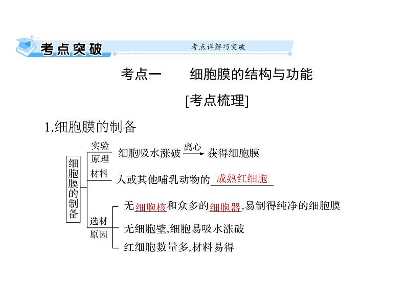 2022年《南方新课堂 高考总复习》生物 必修1 第3章 第1、3节 细胞膜——系统的边界、细胞核——系统的控制中心课件第5页