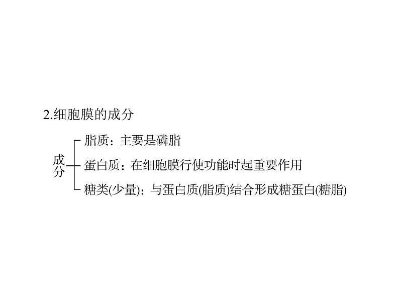 2022年《南方新课堂 高考总复习》生物 必修1 第3章 第1、3节 细胞膜——系统的边界、细胞核——系统的控制中心课件第6页