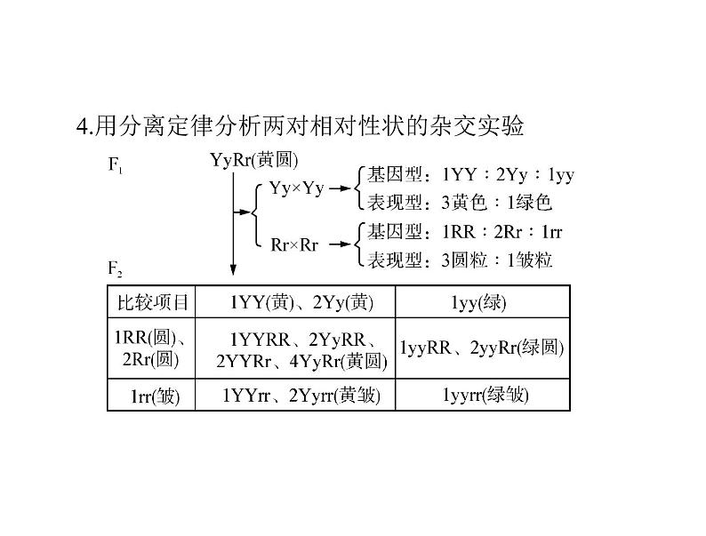 2022年《南方新课堂 高考总复习》生物 必修2 第1章 第2节 孟德尔的豌豆杂交实验(二)课件08