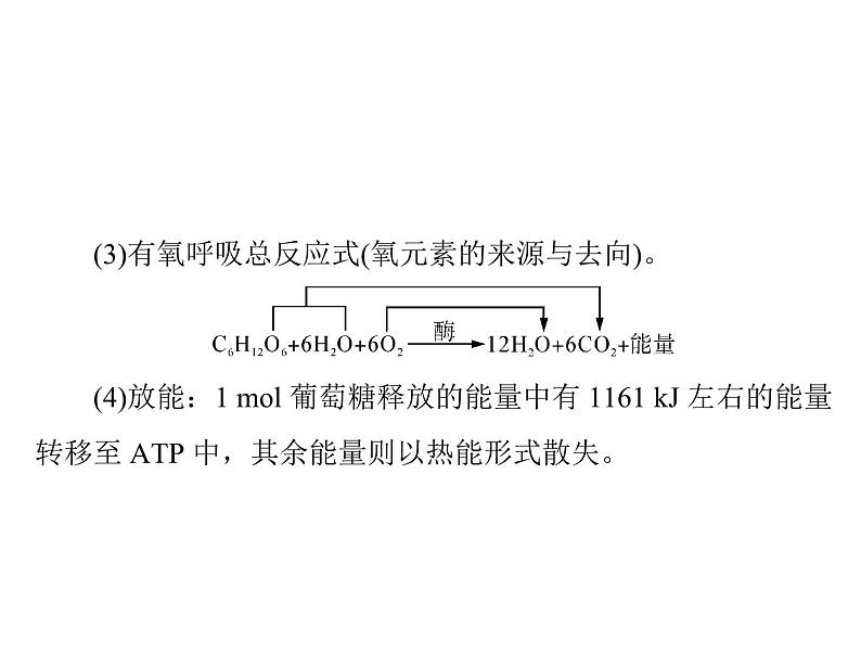 2022年《南方新课堂 高考总复习》生物 必修1 第5章 第3节 ATP的主要来源——细胞呼吸课件04