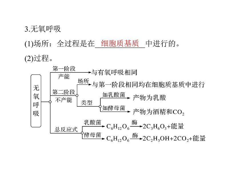 2022年《南方新课堂 高考总复习》生物 必修1 第5章 第3节 ATP的主要来源——细胞呼吸课件05