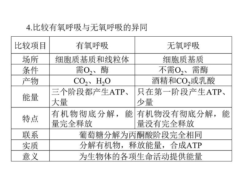 2022年《南方新课堂 高考总复习》生物 必修1 第5章 第3节 ATP的主要来源——细胞呼吸课件07