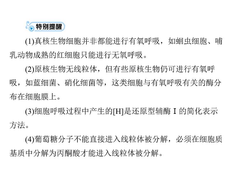 2022年《南方新课堂 高考总复习》生物 必修1 第5章 第3节 ATP的主要来源——细胞呼吸课件08